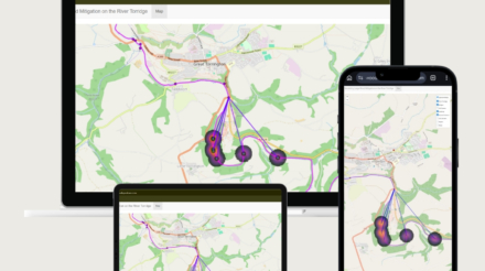 Large Wood Debris Mitigation
