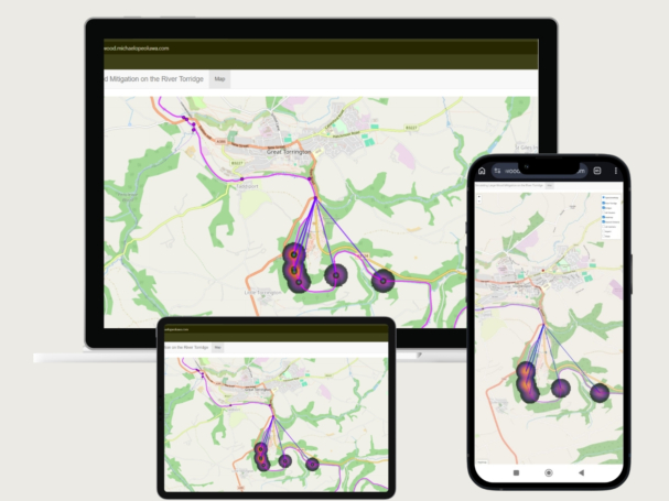 Large Wood Debris Mitigation